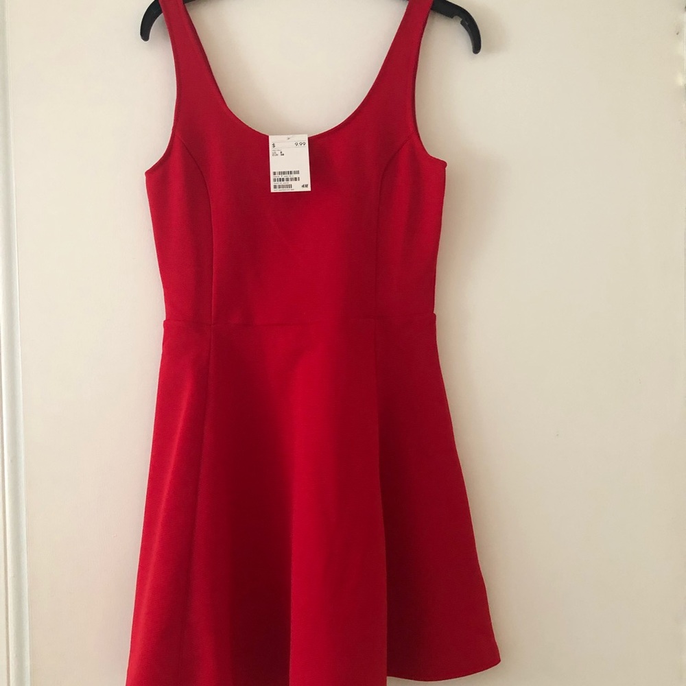H&M Skater Dress